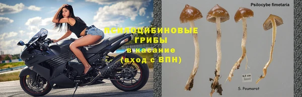 гидропоника Пролетарск