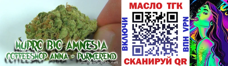 ТГК Wax  Чайковский 